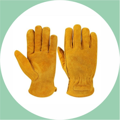 Hand Protection